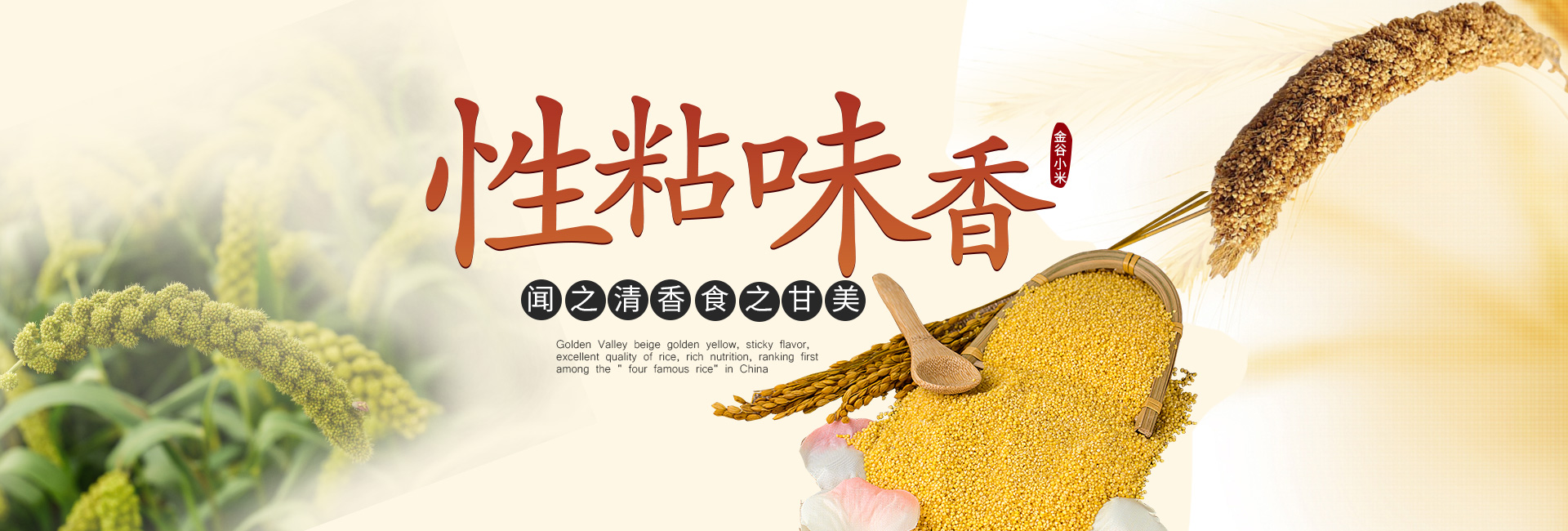 金鄉(xiāng)縣高創(chuàng)農(nóng)業(yè)科技有限公司